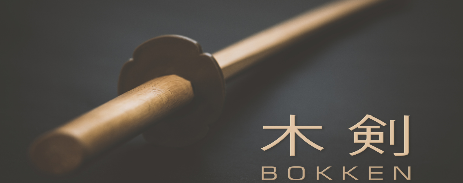 Braccio con Bokken - Giapponese spada di legno utilizzate per la