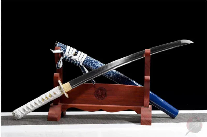 Wakizashi vs Tanto