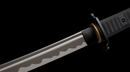 Spada Tattica Phantom Shinobi (Edizione Limitata)