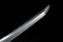 Katana Antica Giapponese di Bizen Masamitsu con sayagaki - NBTHK Kicho