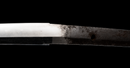 Wakizashi Antico di Osafune Sukesada con Koshirae a Motivo di Leone - NBTHK Hozon