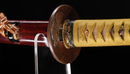 Katana Antica Giapponese di Kashu Kanemaki, Periodo Edo, Hozon Token