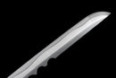 Katana Bloodshade - Assassin's Creed Shadow (Edizione Limitata)