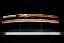 Katana Antica Giapponese di Tachibana Munehiro con Koshirae Dorato