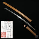 Wakizashi Antico NBTHK, Yamashirodaijo Fujiwara Yoshiyuki, Keicho-Shinto