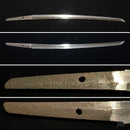 Wakizashi Antico NBTHK, Yamashirodaijo Fujiwara Yoshiyuki, Keicho-Shinto