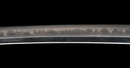 Wakizashi Antico di Osafune Sukesada con Koshirae a Motivo di Leone - NBTHK Hozon