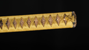 Katana Antica Giapponese di Kashu Kanemaki, Periodo Edo, Hozon Token