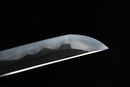 Wakizashi Antico Giapponese NBTHK firmato da Hatakeyama Masamitsu, Periodo Edo