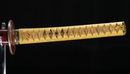 Katana Antica Giapponese di Kashu Kanemaki, Periodo Edo, Hozon Token