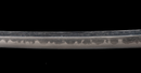 Wakizashi Antico di Osafune Sukesada con Koshirae a Motivo di Leone - NBTHK Hozon