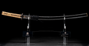 Wakizashi Antico di Osafune Sukesada con Koshirae a Motivo di Leone - NBTHK Hozon