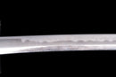 Wakizashi by Shinano no Kami Fujiwara Daidō - Tokubetsu Hozon Token