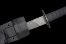 Spada Tattica Phantom Tachi Long