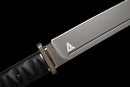 Spada Tattica Stealth Hawk Short Sword (Edizione Titanio)