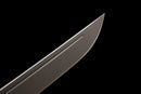 Spada Tattica Stealth Hawk Short Sword (Edizione Titanio)