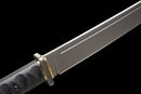 Spada Tattica Stealth Hawk Short Sword (Edizione Titanio)