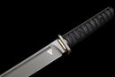 Spada Tattica Stealth Hawk Short Sword (Edizione Titanio)