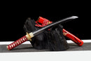 Tantō Kobai 紅梅