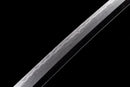 Katana Kōryūtō 紅龍刀