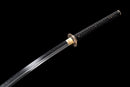 Kurohyou Odachi 黒豹