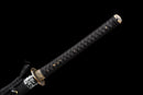 Kurohyou Odachi 黒豹