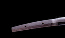 Katana Antica Giapponese Ryokai Shigeyoshi - Hozon