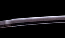 Katana Antica Giapponese Ryokai Shigeyoshi - Hozon
