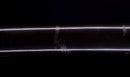 Katana Antica Giapponese firmata Osafune Sukesada, Tardo Muromachi