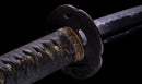 Katana Antica Giapponese, Koshirae Shishi del Tardo Edo