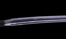 Katana Antica Giapponese, Koshirae Shishi del Tardo Edo