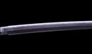 Katana Antica Giapponese, Periodo Edo con Koshirae da Battaglia Musha-e