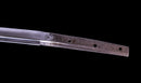 Katana Antica Giapponese - Scuola Uda Muromachi, Doppia NBTHK Hozon