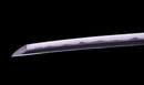 Katana Antica Giapponese firmata Jumyo con Koshirae Rossastro