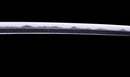 Katana Antica Giapponese firmata Jumyo con Koshirae Rossastro
