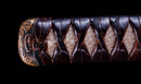Katana Antica Giapponese con Menuki a Libellula Tombo e Tsuba Paesaggio Sansui