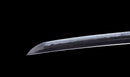 Katana Antica Giapponese con Menuki a Libellula Tombo e Tsuba Paesaggio Sansui