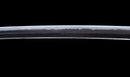 Katana Antica Giapponese con Menuki a Libellula Tombo e Tsuba Paesaggio Sansui