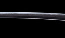 Katana Antica Giapponese con Menuki a Libellula Tombo e Tsuba Paesaggio Sansui
