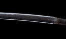 Katana Antica Giapponese con Menuki a Libellula Tombo e Tsuba Paesaggio Sansui