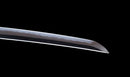 Katana Antica Giapponese con Menuki a Libellula Tombo e Tsuba Paesaggio Sansui