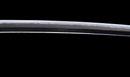 Katana Antica Giapponese con Menuki a Libellula Tombo e Tsuba Paesaggio Sansui