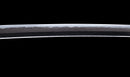 Katana Antica Giapponese con Menuki a Libellula Tombo e Tsuba Paesaggio Sansui