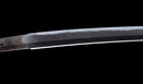 Katana Antica Giapponese con Menuki a Libellula Tombo e Tsuba Paesaggio Sansui