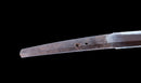 Katana Antica Giapponese con Menuki a Libellula Tombo e Tsuba Paesaggio Sansui