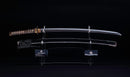 Katana Antica Giapponese con Menuki a Libellula Tombo e Tsuba Paesaggio Sansui