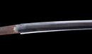 Katana Antica Giapponese firmata Kojima Katsumasa con Tsuba in Ferro a Paesaggio