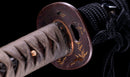 Katana Antica Giapponese, Tsuba con Uccelli Acquatici firmata Awataguchi