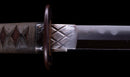 Katana Antica Giapponese, Tsuba con Uccelli Acquatici firmata Awataguchi