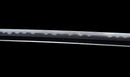 Katana Antica Giapponese, Tsuba con Uccelli Acquatici firmata Awataguchi